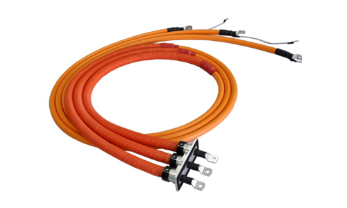 �߉����|����